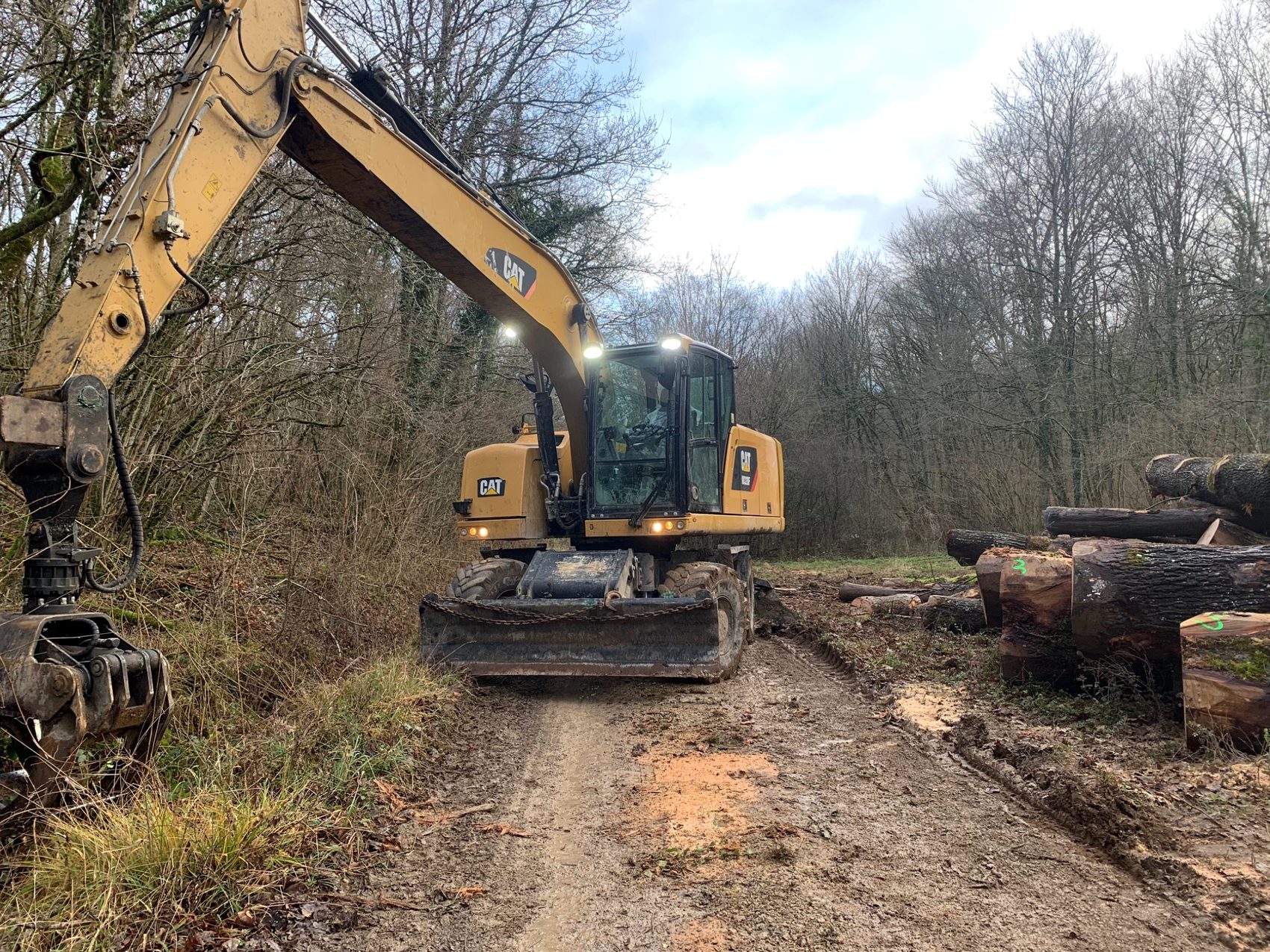 Engin forestier avec bois