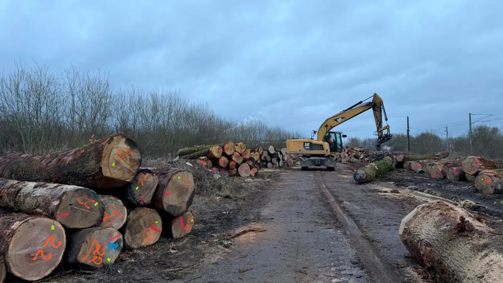 Pelle avec grappin manipulant des grumes sur un chantier forestier